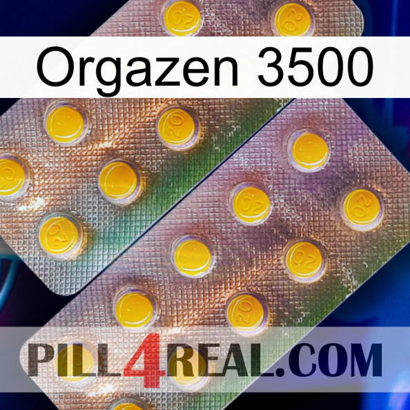 Orgazen 3500 new10.jpg